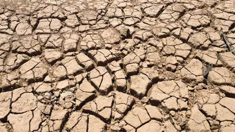 نحوه آماده سازی برای خشکسالی